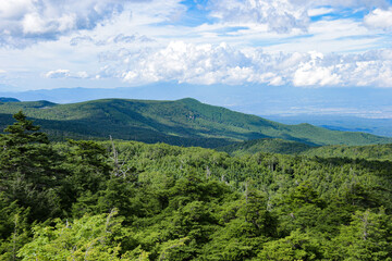 Fototapeta na wymiar 夏の北八ヶ岳　『高見石』山頂からの風景　北八ヶ岳の山々を望む