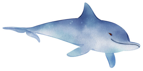 Cute mermaid .Watercolor marine illustration with fishes, mermaids, turtle in style, hand drawn icon png