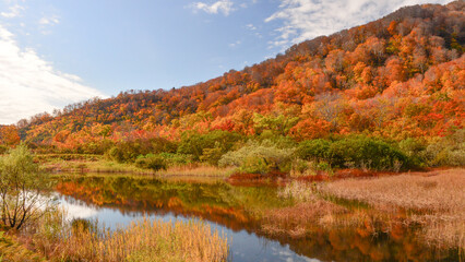 秋色の山林　湖　紅葉