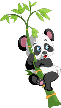 The laughing panda climb onto the bamboo design cartoon illustration