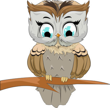 A little owl on tree branch design cartoon illustration