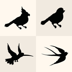 silhouettes of birds