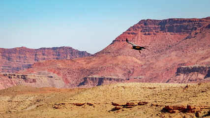 The red rock mountains and formations of Vermilion Cliffs in northern Arizona and Utah desert