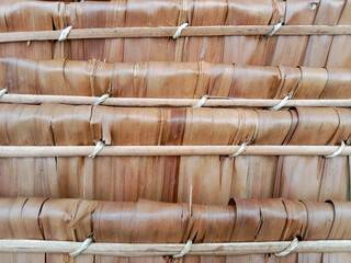 Sago palm roof of hut. Dried sago palm leaves. Sago palm leaves texture.