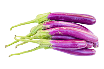 Japanese eggplant (Solanum melongena, also called aubergine) 