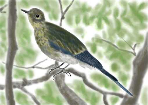 木に止まる鳥」の写真素材 | 28,411件の無料イラスト画像 木に止まる鳥」の写真素材 | 28,411件の無料イラスト画像