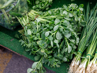 Close-up of fresh purslane sold in the public market. A fresh and green vegetable background. Healthy and seasonal vegetarian eating.