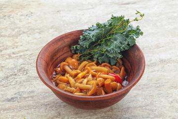 Wild pickled honey mushroom in the bowl