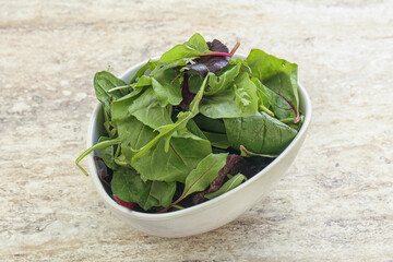 Vegetarian mix green vitamin salad