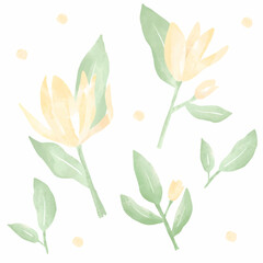 Fototapeta na wymiar Floral watercolor illustration, white champak magnolia flowers with leaves.