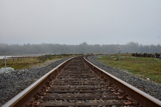 railroad tracks in the forest