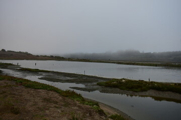 river in the morning