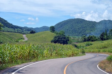 landscape with a road and the mountain