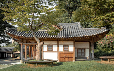 Traditional wood brown Korean architecture temple palace and trees at Gyeongbokgung Palace in Seoul South Korea