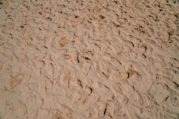 The white sand background on the coast with small rough textures is photographed up close, the details of the sand and traces of being stepped on by tourists are visible