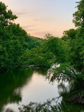 the river in the forest