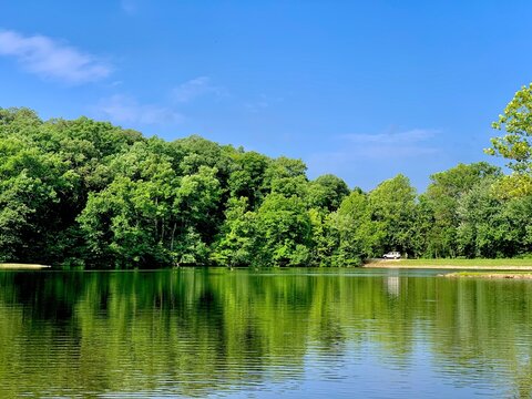 landscape with lake
