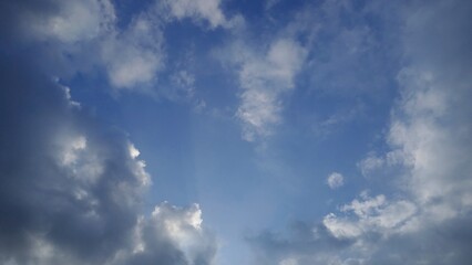 夏の早朝の空を彩る雲たち