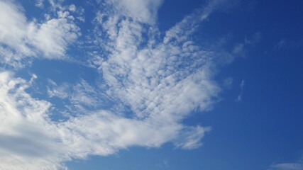 夏の早朝の空を彩る雲たち