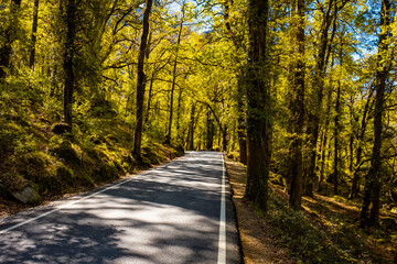 Obraz premium Parque Nacional da Peneda-Gerês