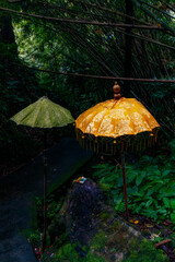 green and yellow tendung (umbrella) in the forest - obrazy, fototapety, plakaty