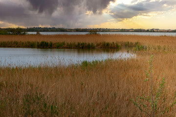 The salt flats of Aigues-Mortes in the Camargue, France