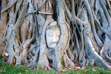 The Wat Mahathat Temple of the Great Relic is a Buddhist temple in Ayutthaya, central Thailand.