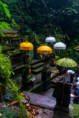 Balinese temple, green, yellow and white  tendungs umbrellas and green vegetation