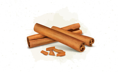 Cinnamon Sticks vector illustration isolated on white background