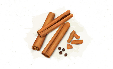 Cinnamon Sticks vector illustration with black pepper seeds and cinnamon  pieces