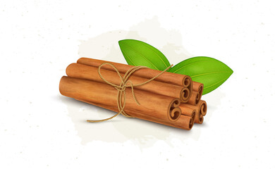 Cinnamon Sticks bundle with green leaves vector illustration