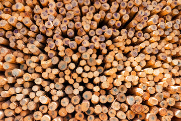 Stacks of wood in a shop