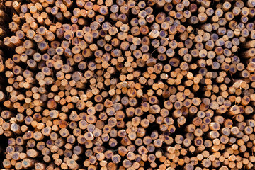 Stacks of wood in a shop