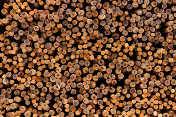 Stacks of wood in a shop