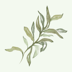 Olive branch hand drawn isolated on background