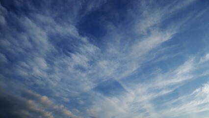 夏の早朝の空を彩る様々な雲たち