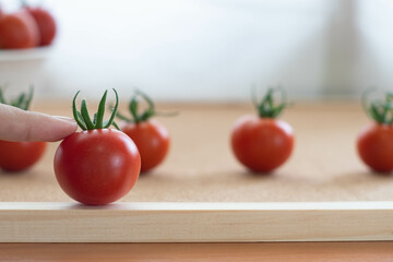 Red Japanese variety tomato on wooden background.