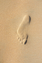 footprints in the sand of La Barrosa beach in Cadiz, Spain