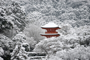 Fototapeta premium 雪の清水寺 子安塔 京都市東山区