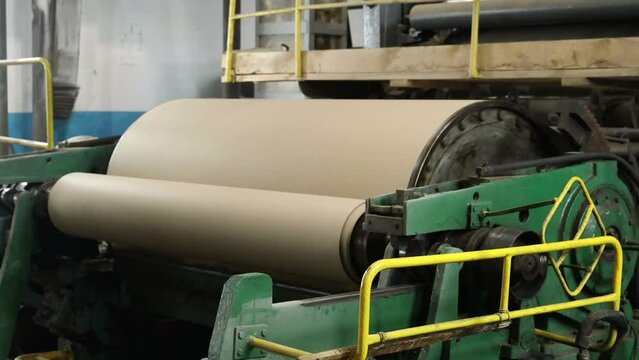 conveyor of a paper machine in the workshop of a paper mill