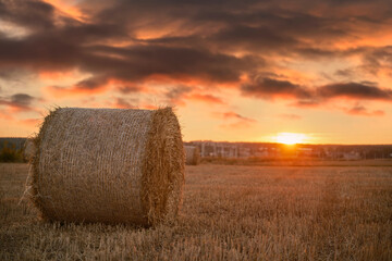 Gorgeous summer sunset landscape. Trees and fields in the rural area. Outdoors adventures in the countryside during summertime vacations.