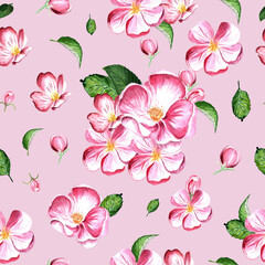 seamless watercolor pattern spring apple tree flowers on pink background