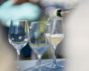 Wine glasses with a cool delicious champagne or white wine.