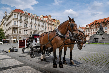 Obraz na płótnie Canvas Horses in Prague