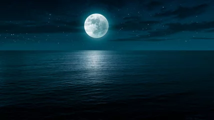 Foto op Plexiglas Oceaan nacht landschap achtergrond. © Johnster Designs