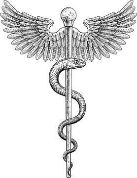 A Rod of Asclepius doctor medical snake symbol in a vintage engraved retro style