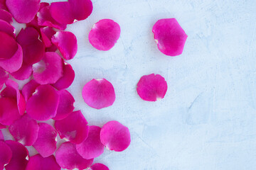 flat lay with magenta rose petals on white textured background with space for text. soft focus. copy space