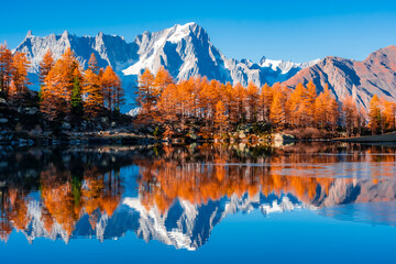 Beautiful reflection of Monte Rosa (Italian Alps) over Lake Arpy in autumn foliage Italy - obrazy, fototapety, plakaty