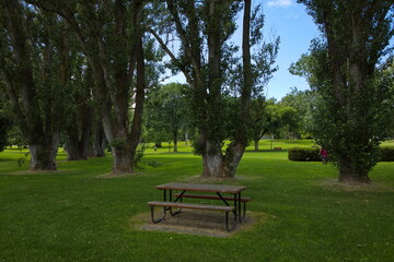 Resting place in Lheidli T'enneh Memorial Park in Prince George in British Columbia,Canada,North America
