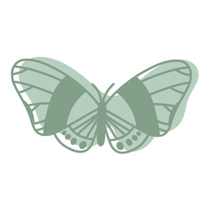 Boho Butterfly Illustration